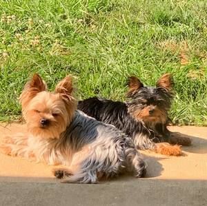 Meet your Posher, Markntammi